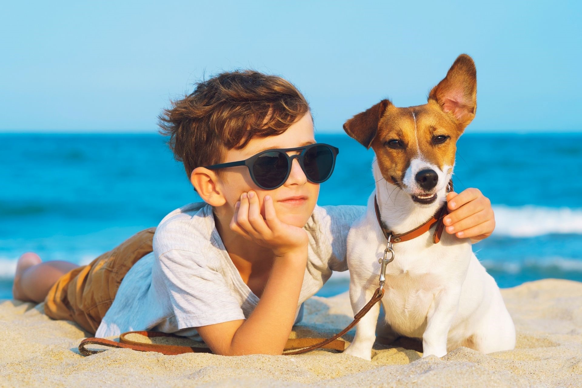 6 playas para perros en Tarragona para disfrutar del verano